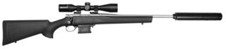 Howa .223 Mini Action Stainless with Panamax 3-9x40 | Suppressor | Bipod | Gun Bag