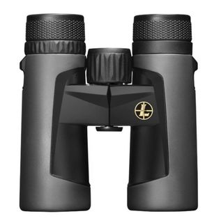 Leupold BX-2 Alpine 10x42 Binoculars: Shadow Grey