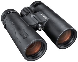 Bushnell Engage 10x42 Roof Binos
