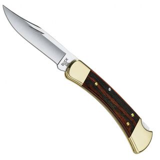 Buck 110 Folding Hunter Knife